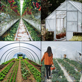 Greenhouse Film, Greenhouse Polyethylene Film 12x25 ft Greenhouse Plastic