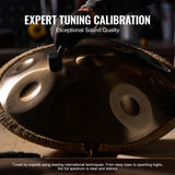 Handpan Drum 22 in 12 Notes D Minor Hand Drum Instrument with Mallet