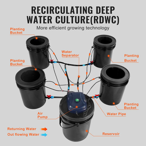 RDWC Hydroponics Grow System, Hydroponic Growing Kit with Top Drip, Recirculating Deep Water Culture 4 Buckles and 1 Reservoir, with Air Pump and Water Level Device for Leafy Vegetables