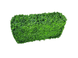 Deluxe Portable Buxus (Bright) UV Resistant 100cm Long x 50cm High x 25cm Wide